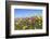 Spring Wildflowers, Papkuilsfontein Farm, Nieuwoudtville, Northern Cape, South Africa, Africa-Ann & Steve Toon-Framed Photographic Print