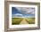 Spring Wildflowers, Papkuilsfontein Farm, Nieuwoudtville, Northern Cape, South Africa, Africa-Ann & Steve Toon-Framed Photographic Print