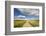 Spring Wildflowers, Papkuilsfontein Farm, Nieuwoudtville, Northern Cape, South Africa, Africa-Ann & Steve Toon-Framed Photographic Print