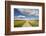 Spring Wildflowers, Papkuilsfontein Farm, Nieuwoudtville, Northern Cape, South Africa, Africa-Ann & Steve Toon-Framed Photographic Print