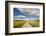 Spring Wildflowers, Papkuilsfontein Farm, Nieuwoudtville, Northern Cape, South Africa, Africa-Ann & Steve Toon-Framed Photographic Print