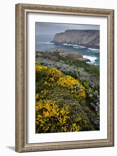 Spring Wildflowers, Portugal-Bob Gibbons-Framed Photographic Print