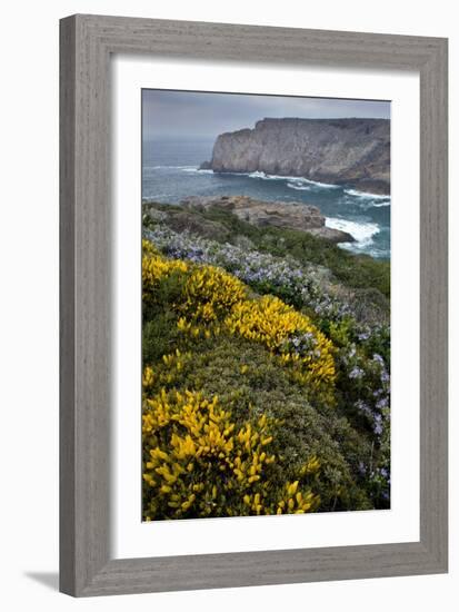 Spring Wildflowers, Portugal-Bob Gibbons-Framed Photographic Print