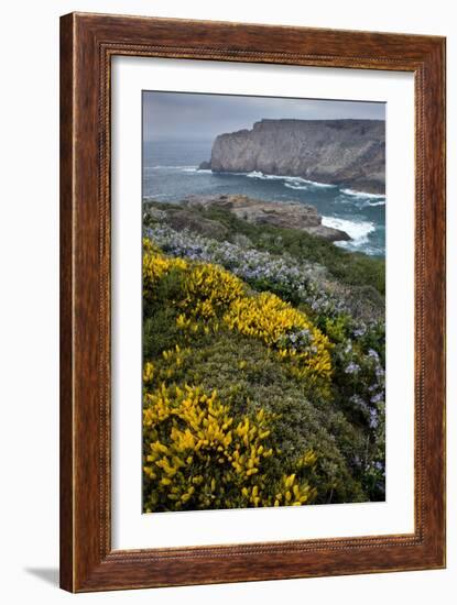 Spring Wildflowers, Portugal-Bob Gibbons-Framed Photographic Print