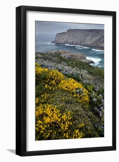 Spring Wildflowers, Portugal-Bob Gibbons-Framed Photographic Print