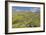 Spring Wildflowers-Don Paulson-Framed Giclee Print