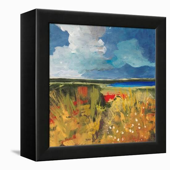 Spring Wildflowers-Jan Weiss-Framed Stretched Canvas