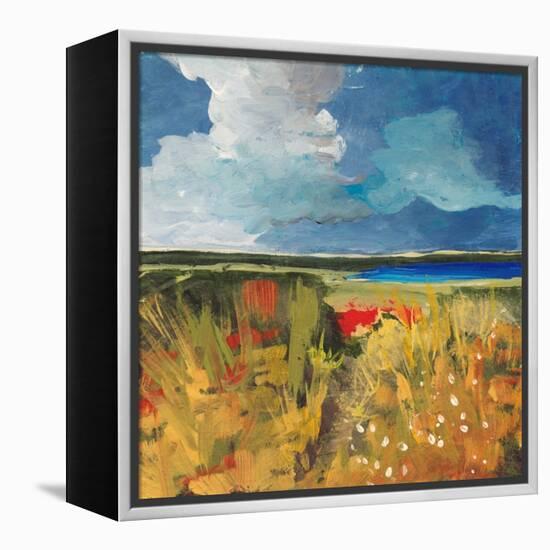 Spring Wildflowers-Jan Weiss-Framed Stretched Canvas