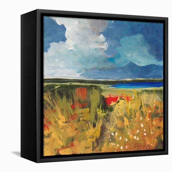 Spring Wildflowers-Jan Weiss-Framed Stretched Canvas