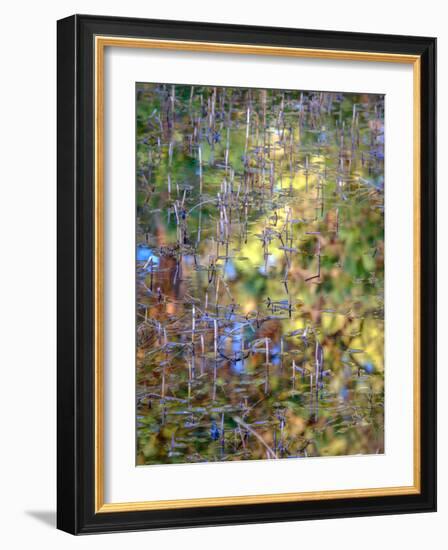 Spring Zing-Doug Chinnery-Framed Photographic Print