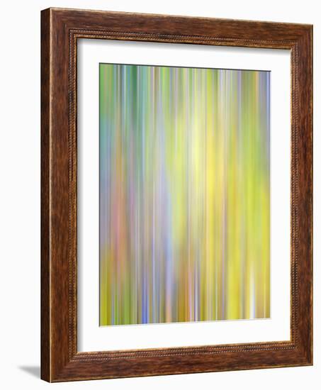 Spring Zing-Doug Chinnery-Framed Photographic Print