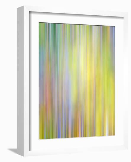 Spring Zing-Doug Chinnery-Framed Photographic Print