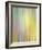 Spring Zing-Doug Chinnery-Framed Photographic Print