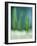 Spring-Ursula Abresch-Framed Photographic Print