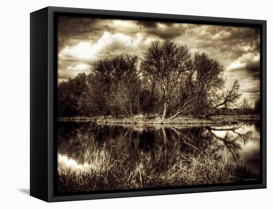 Spring-Stephen Arens-Framed Premier Image Canvas