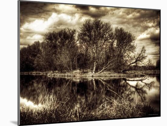 Spring-Stephen Arens-Mounted Photographic Print