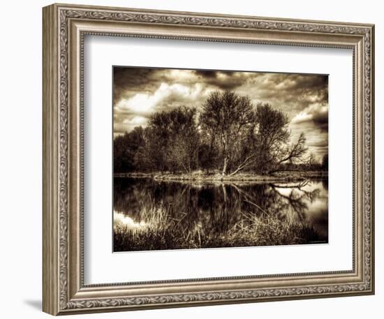 Spring-Stephen Arens-Framed Photographic Print