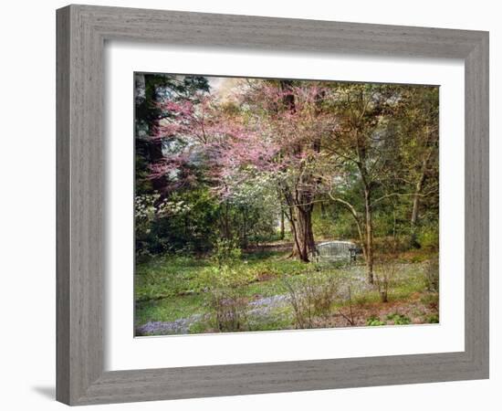 Spring-John Rivera-Framed Photographic Print