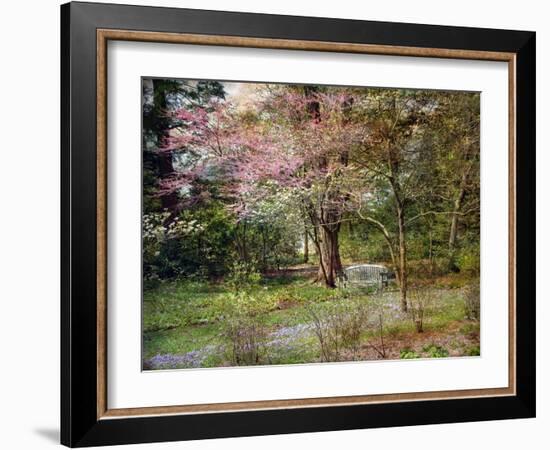 Spring-John Rivera-Framed Photographic Print