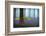 Spring...........-Piet Haaksma-Framed Photographic Print