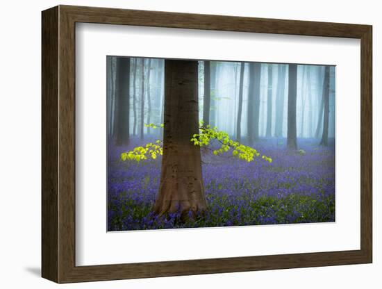 Spring...........-Piet Haaksma-Framed Photographic Print