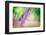 Spring-Ursula Abresch-Framed Photographic Print