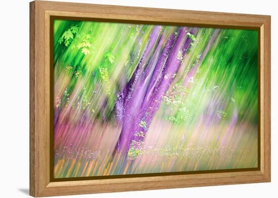 Spring-Ursula Abresch-Framed Premier Image Canvas