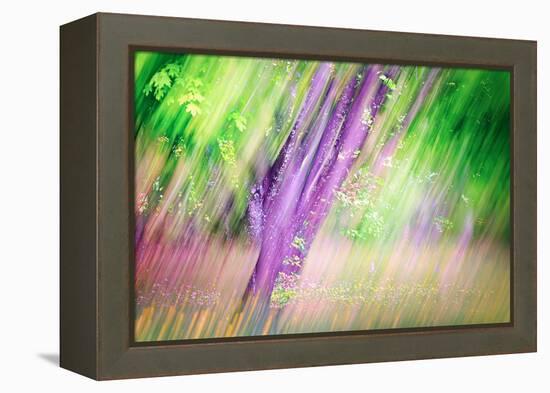 Spring-Ursula Abresch-Framed Premier Image Canvas