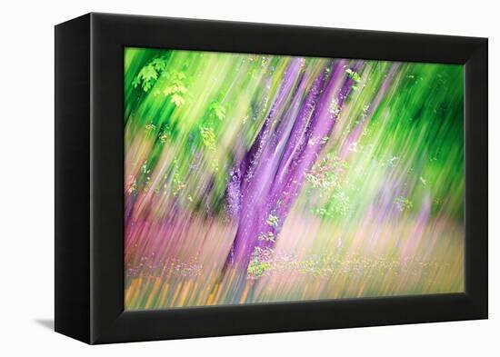 Spring-Ursula Abresch-Framed Premier Image Canvas