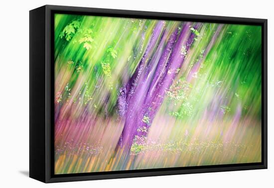 Spring-Ursula Abresch-Framed Premier Image Canvas