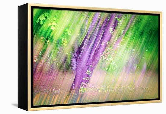 Spring-Ursula Abresch-Framed Premier Image Canvas