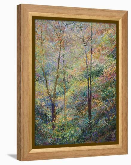 Spring-Stephen Henning-Framed Premier Image Canvas