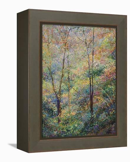 Spring-Stephen Henning-Framed Premier Image Canvas