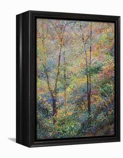 Spring-Stephen Henning-Framed Premier Image Canvas