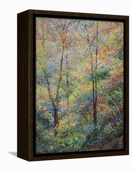 Spring-Stephen Henning-Framed Premier Image Canvas