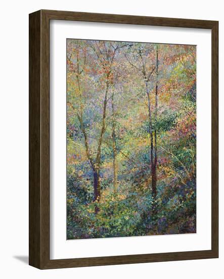 Spring-Stephen Henning-Framed Giclee Print