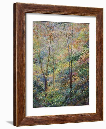 Spring-Stephen Henning-Framed Giclee Print