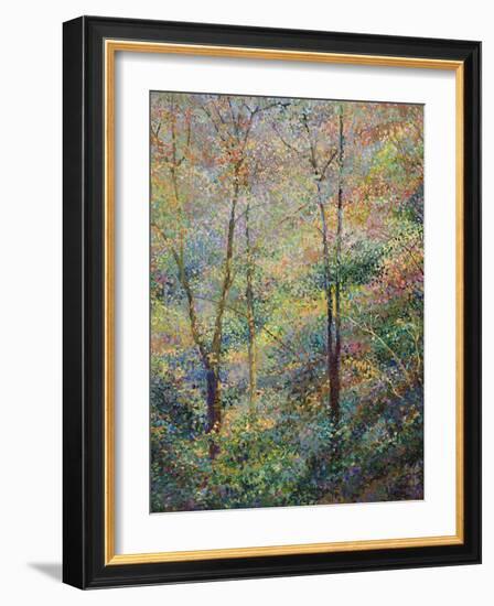 Spring-Stephen Henning-Framed Giclee Print