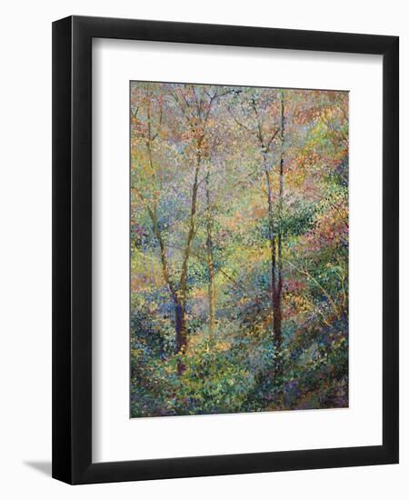 Spring-Stephen Henning-Framed Premium Giclee Print