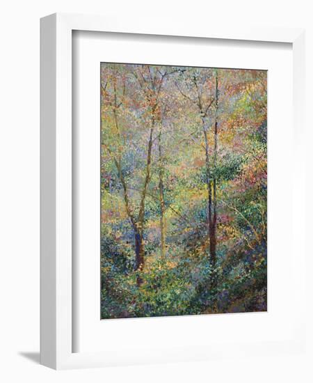 Spring-Stephen Henning-Framed Premium Giclee Print