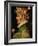 Spring-Giuseppe Arcimboldo-Framed Premium Giclee Print