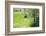 Spring-Heidi Westum-Framed Photographic Print