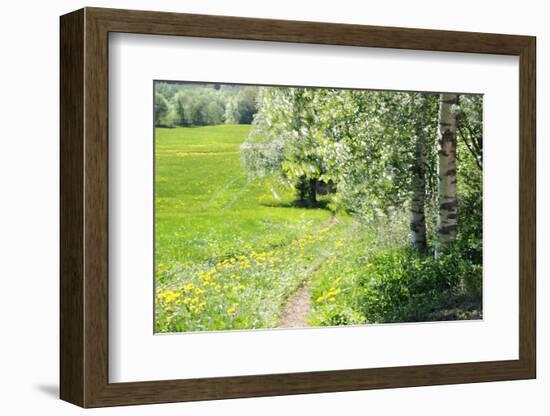 Spring-Heidi Westum-Framed Photographic Print