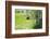 Spring-Heidi Westum-Framed Photographic Print