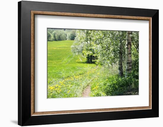 Spring-Heidi Westum-Framed Photographic Print