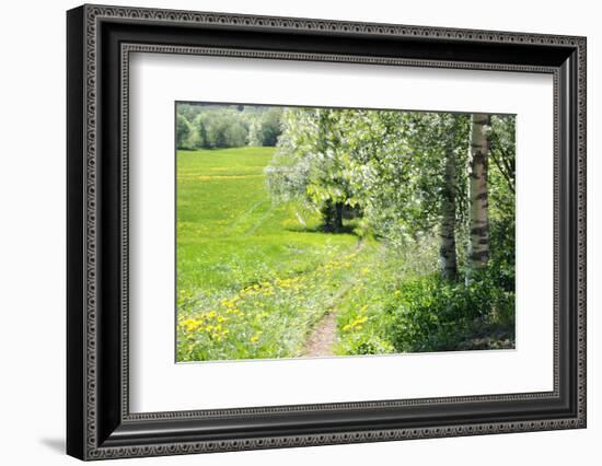 Spring-Heidi Westum-Framed Photographic Print