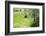 Spring-Heidi Westum-Framed Photographic Print