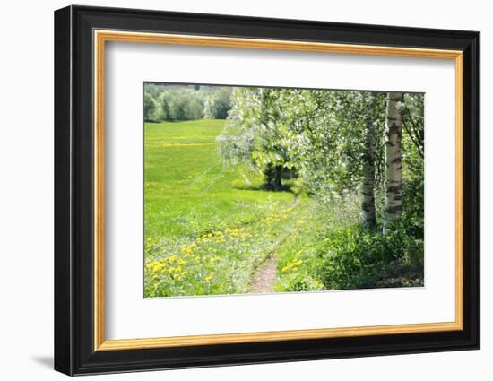 Spring-Heidi Westum-Framed Photographic Print