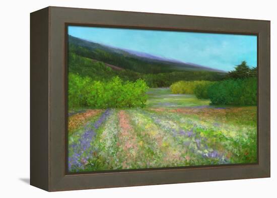 Spring-Sheila Finch-Framed Stretched Canvas