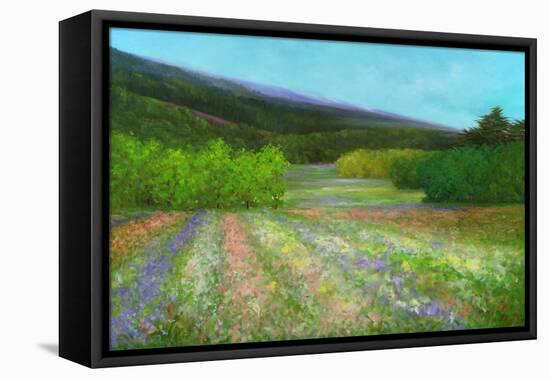 Spring-Sheila Finch-Framed Stretched Canvas